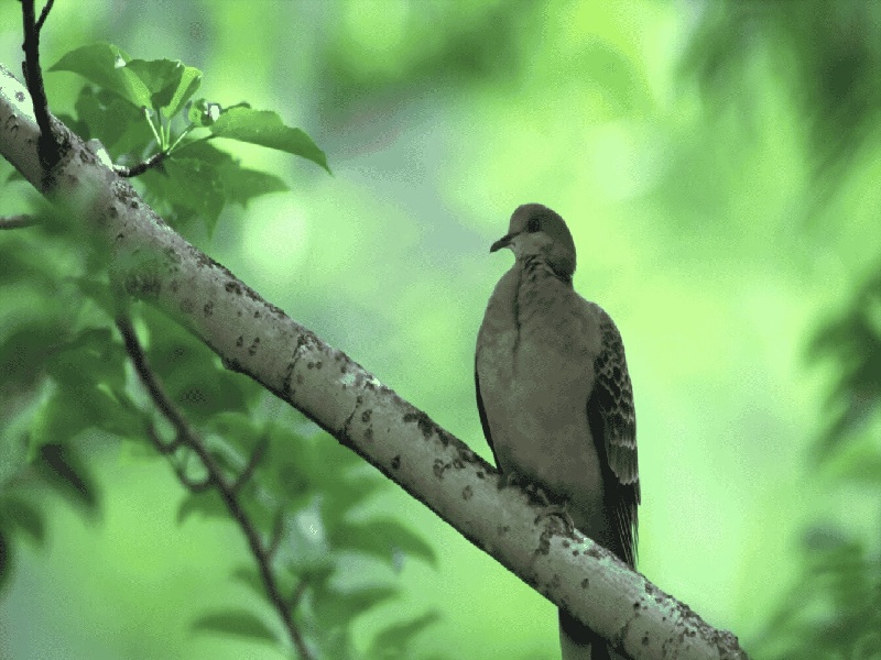 试管14天验血，试管的清洗方式